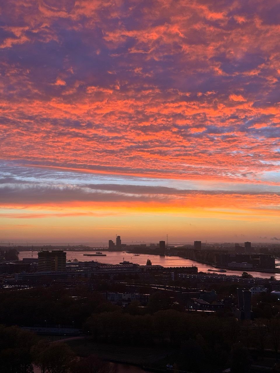 WhatsApp Image 2026-03-13 at 10.10.32 (1).jpeg