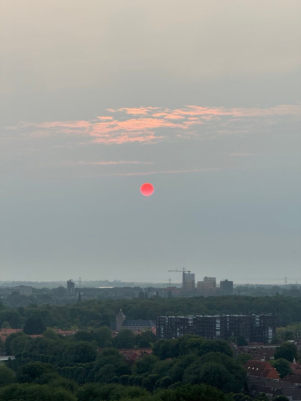 WhatsApp Image 2026-03-13 at 10.10.33.jpeg