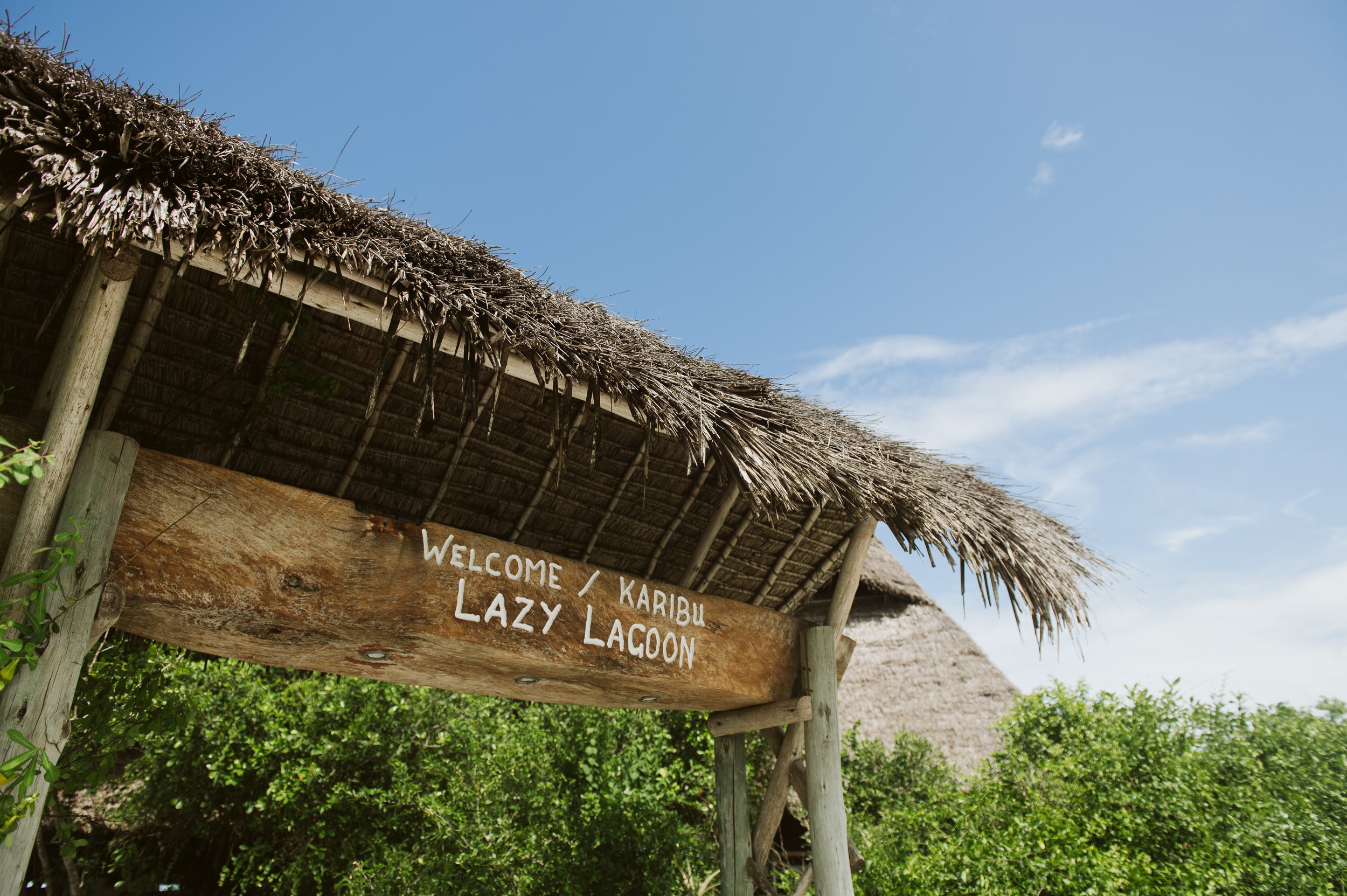 Karibu Lazy.jpg