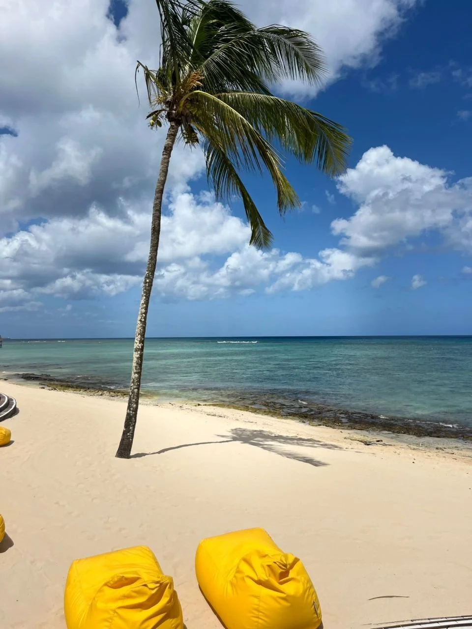 Site visit, Mauritius