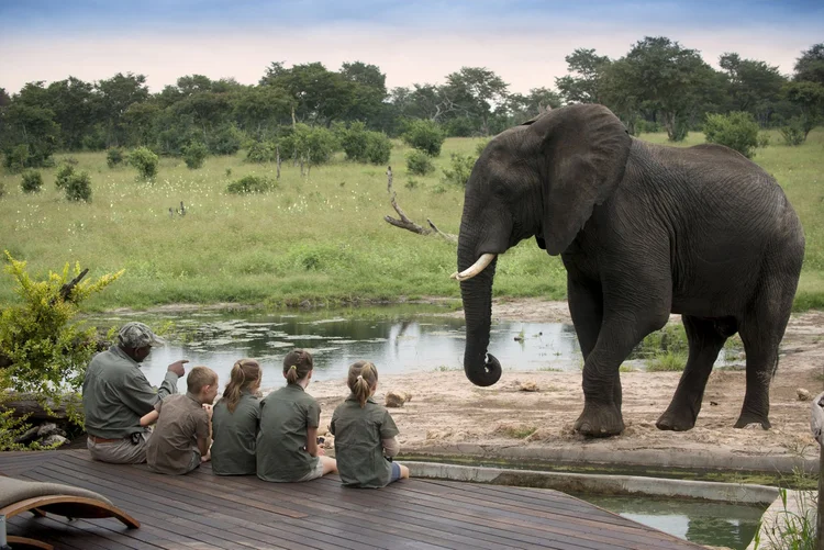 Botswana - Family Safari