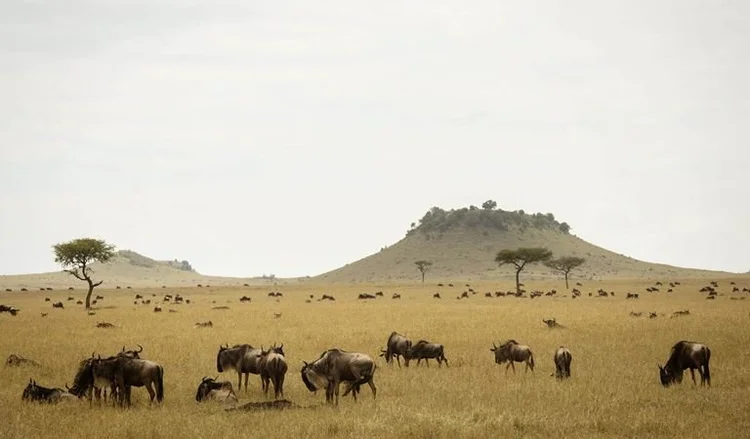 Tanzania - Best of the Northern Regions