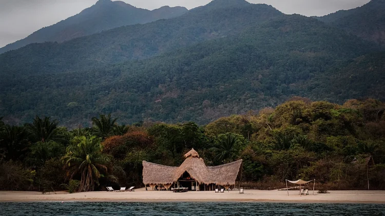 Tanzania - Western Region Safari