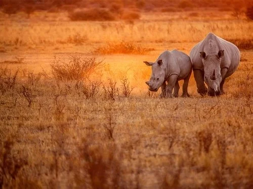 Namibia - Classic Namibia Safari