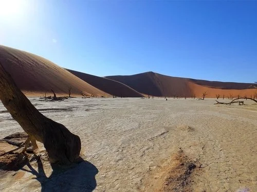 Namibia - Highlights Safari