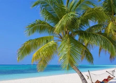 Kuredu Island Resort & Spa - 7 NIGHTS
