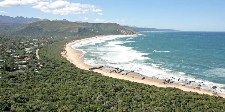 South African Surprise - 15 DAYS