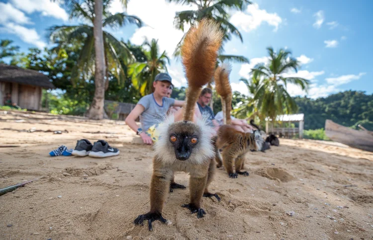 Beach & Lemur Explorer - 13 Days