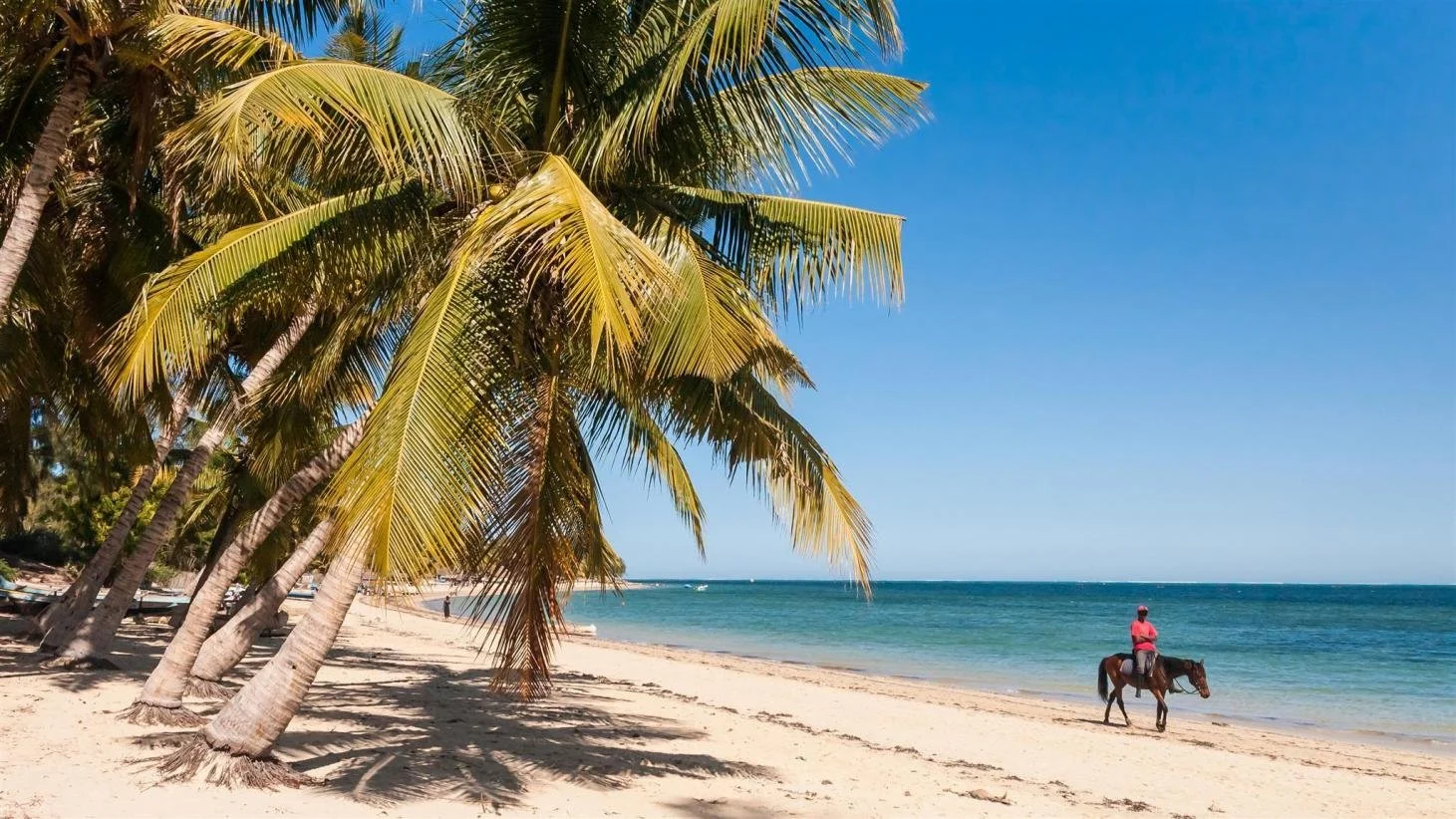 BUSH + BEACH