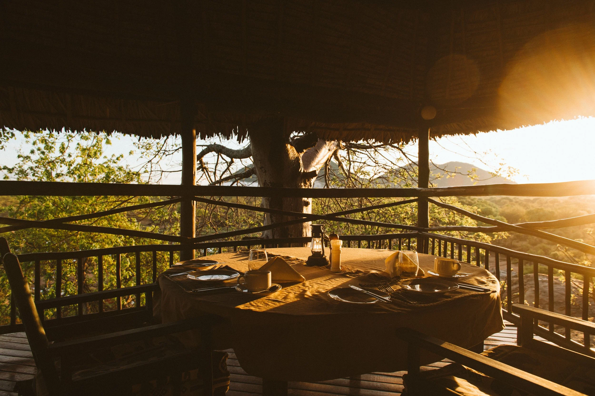 Ruaha_Foxes_CaseyPratt_LoveAfrica-5643.jpg