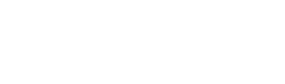African Fusion Travel
