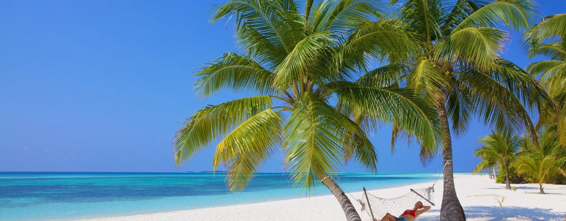 Palm-fringed beach at Kuredu Island Resort
