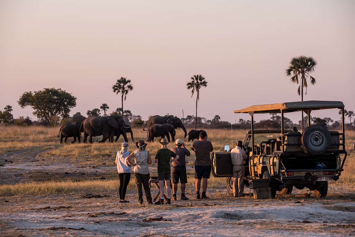 African Safaris