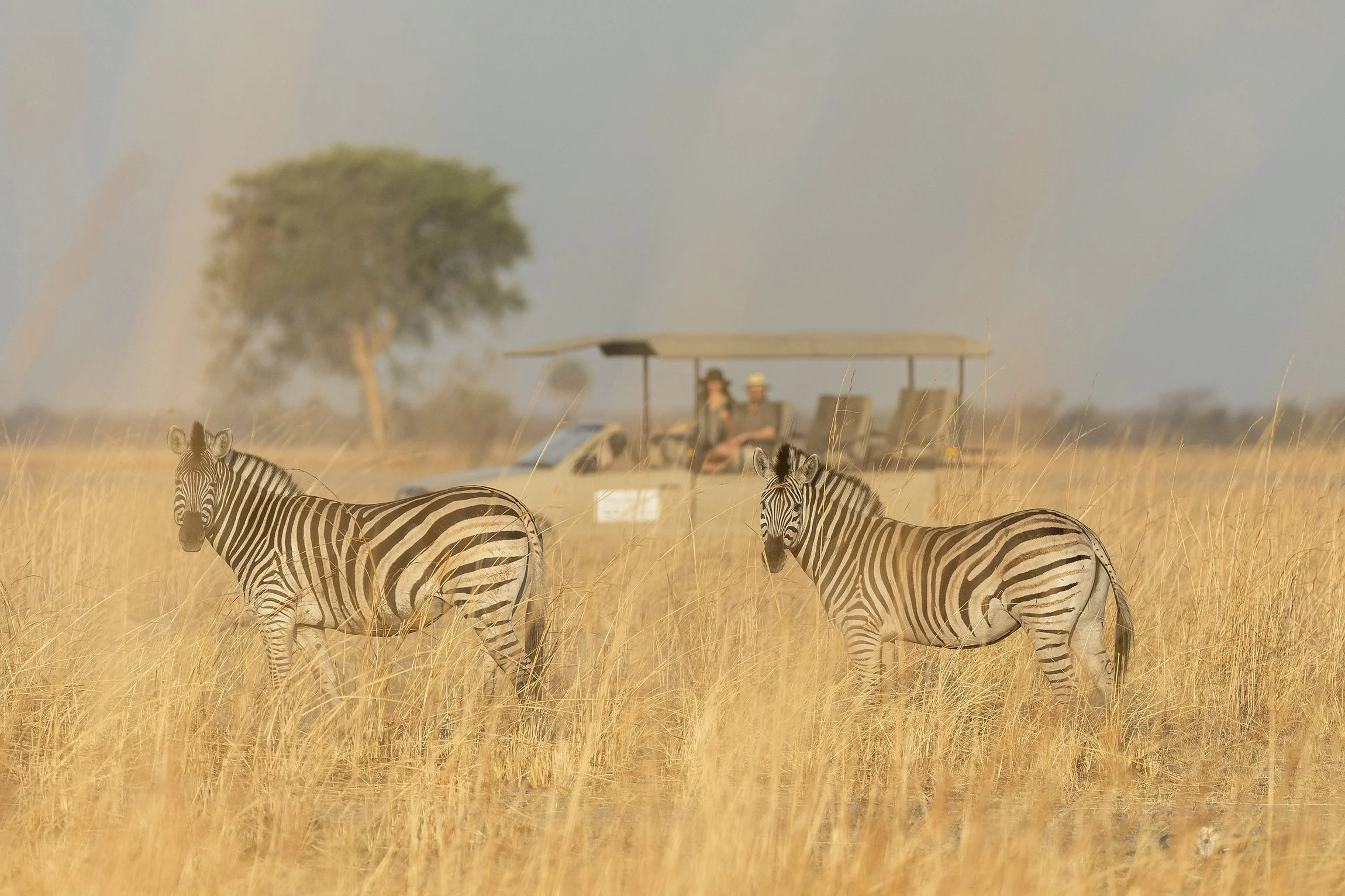 The-Pack-Wildtrack-Safari-Eco-Lodge-06.jpg