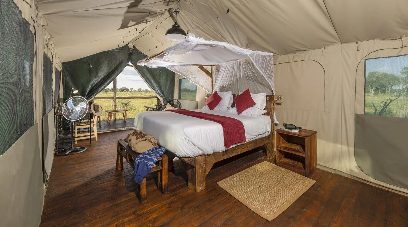 a_spacious_tent_at_mogogelo_camp_with_king_bed.jpg