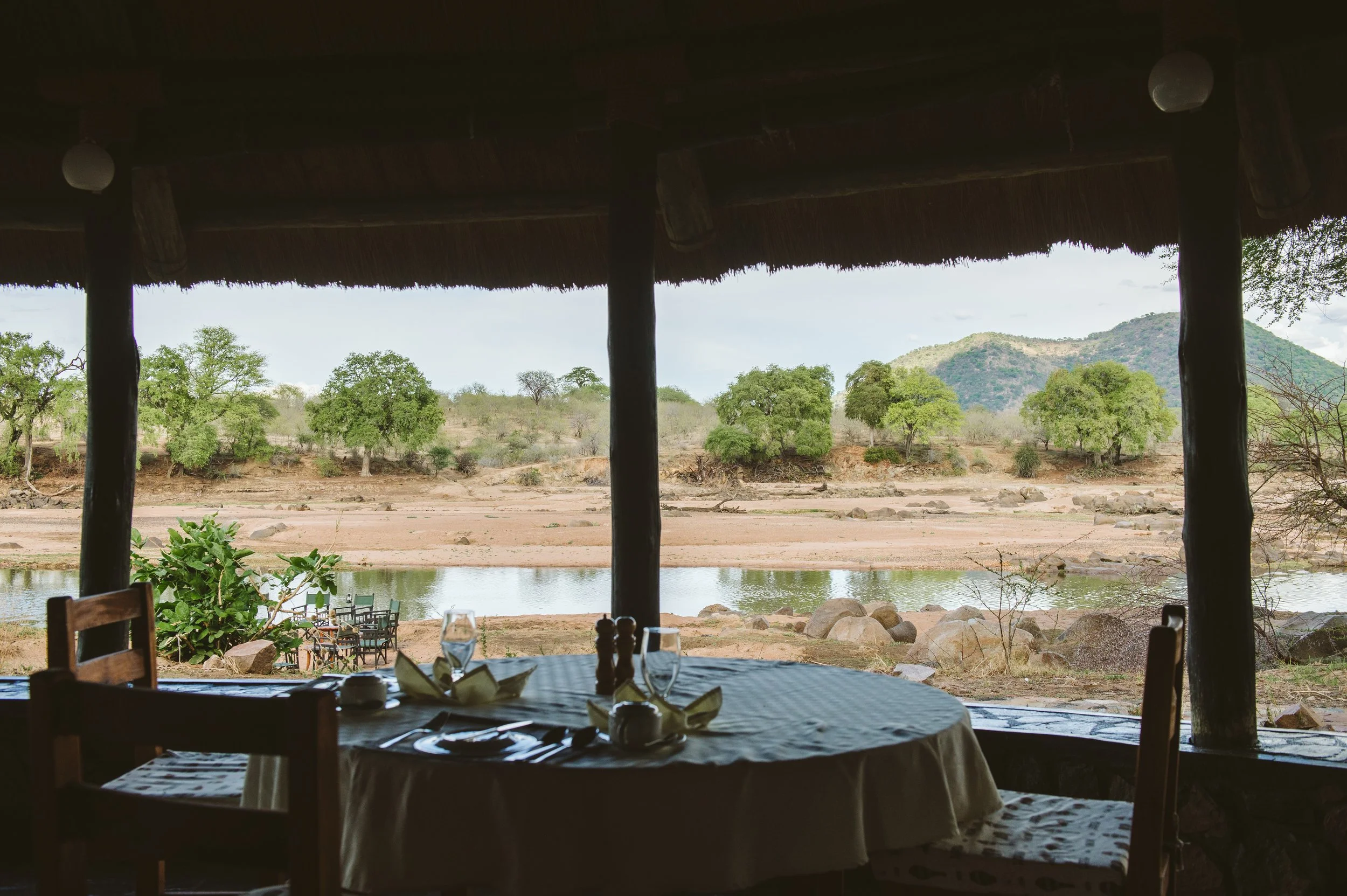 Ruaha_Foxes_CaseyPratt_LoveAfrica-4230.jpg