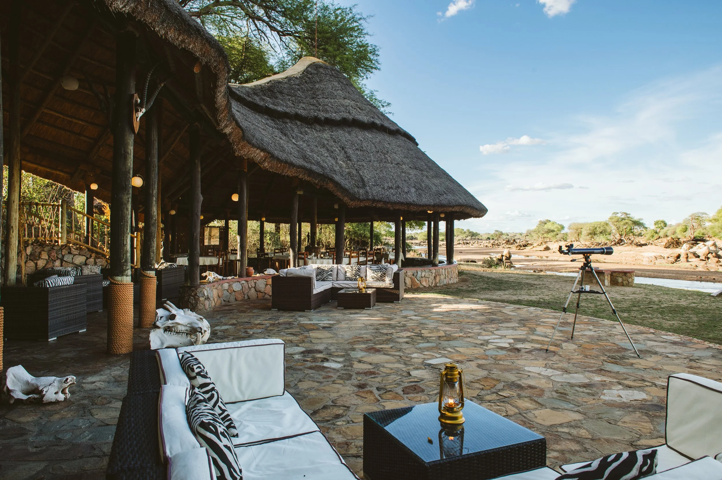 Ruaha_Foxes_CaseyPratt_LoveAfrica-4429.jpg