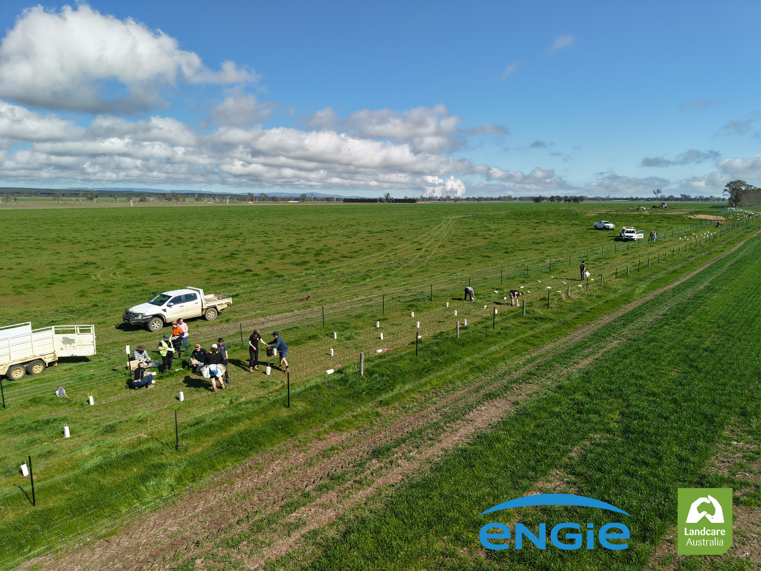 drone image of tree planting day