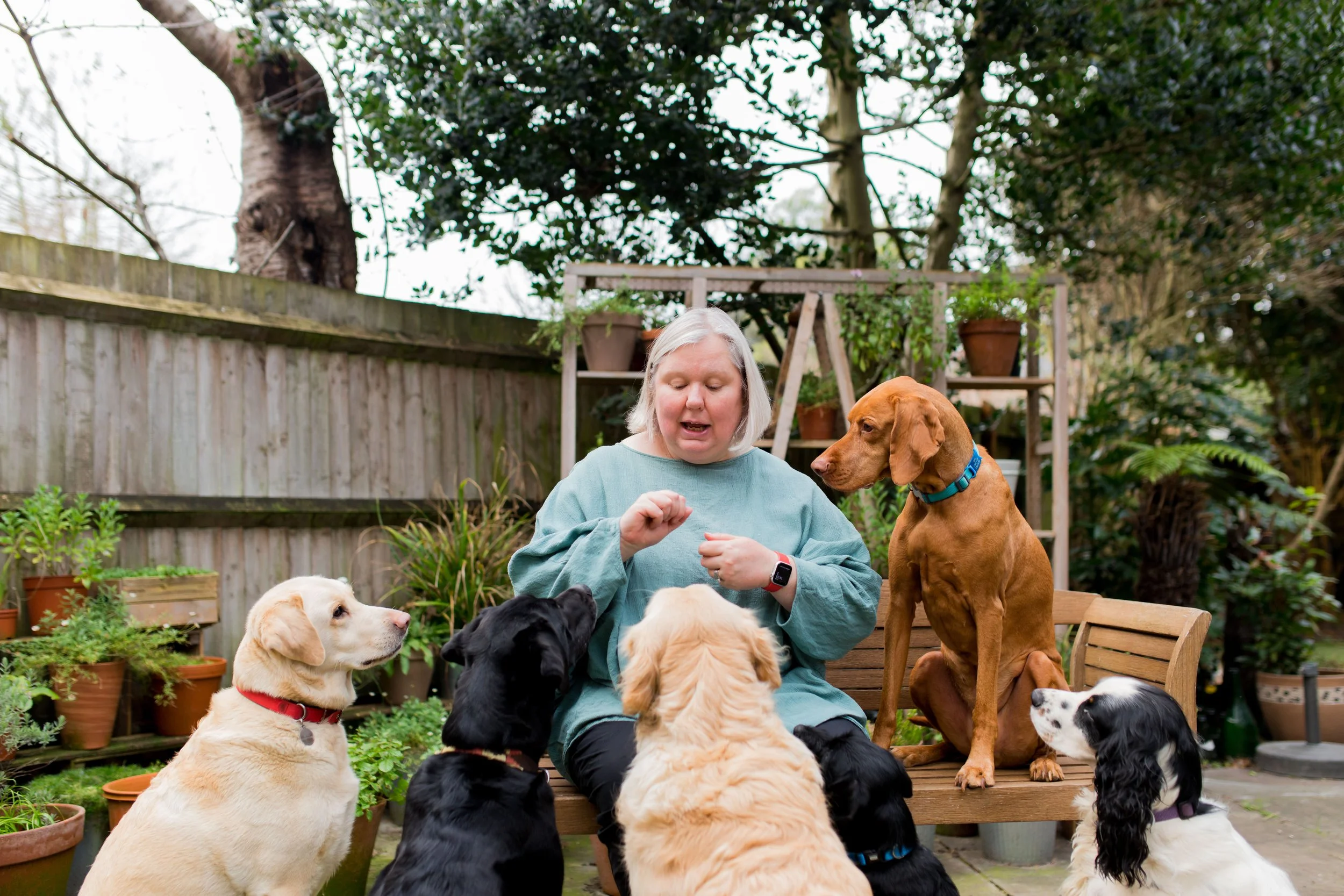 Dog Behaviourist London — Walkies and Waggietails