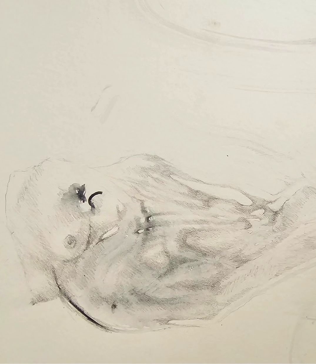 Emerging, a study. 

Watercolour and pencil.
