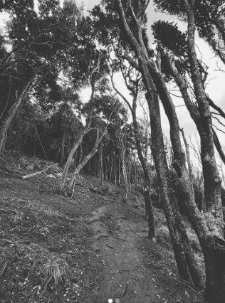 Screen Shot 2026-01-27 at 9.19.50 pm.png