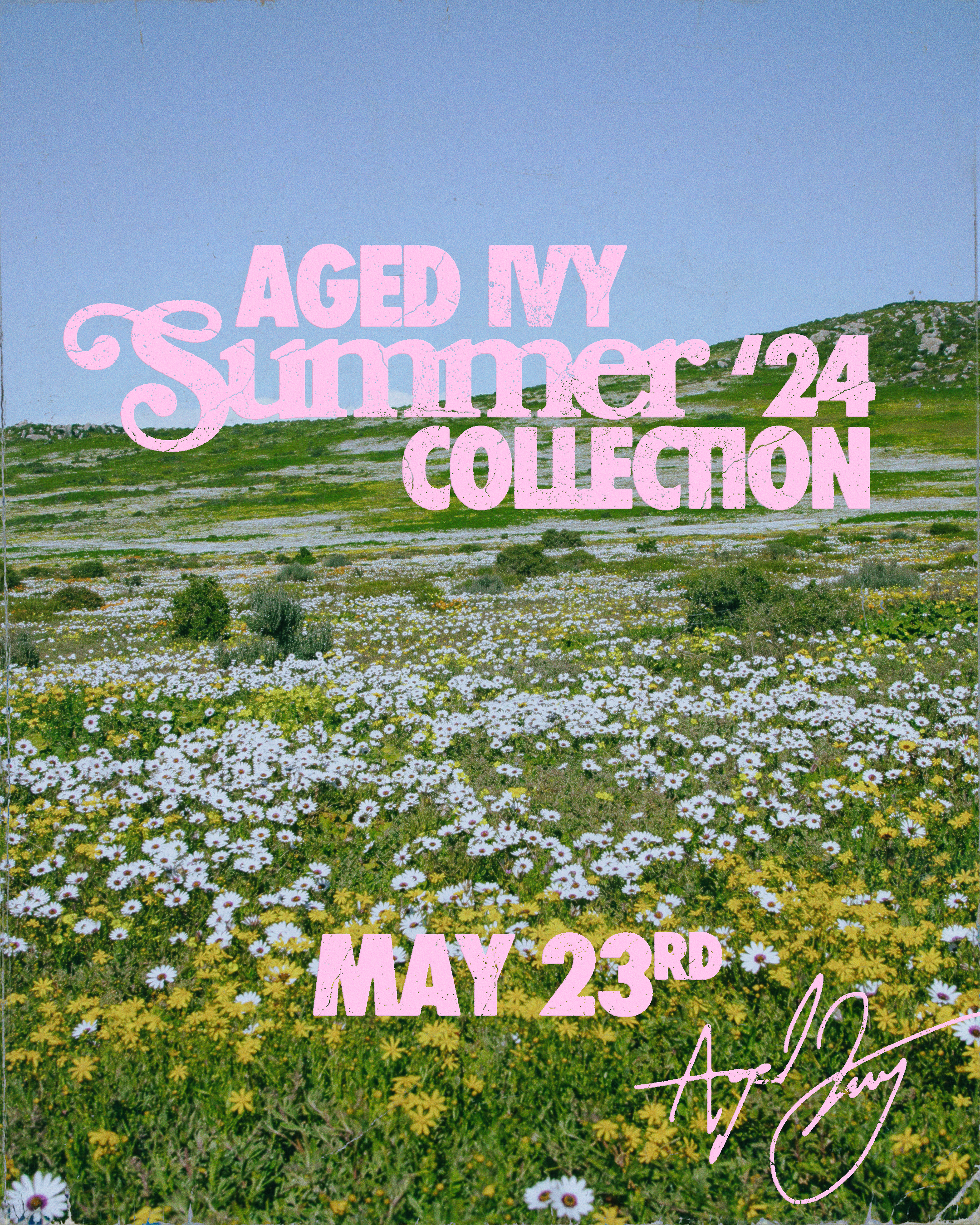 Aged Ivy_Summer Collection_4x5_01.png