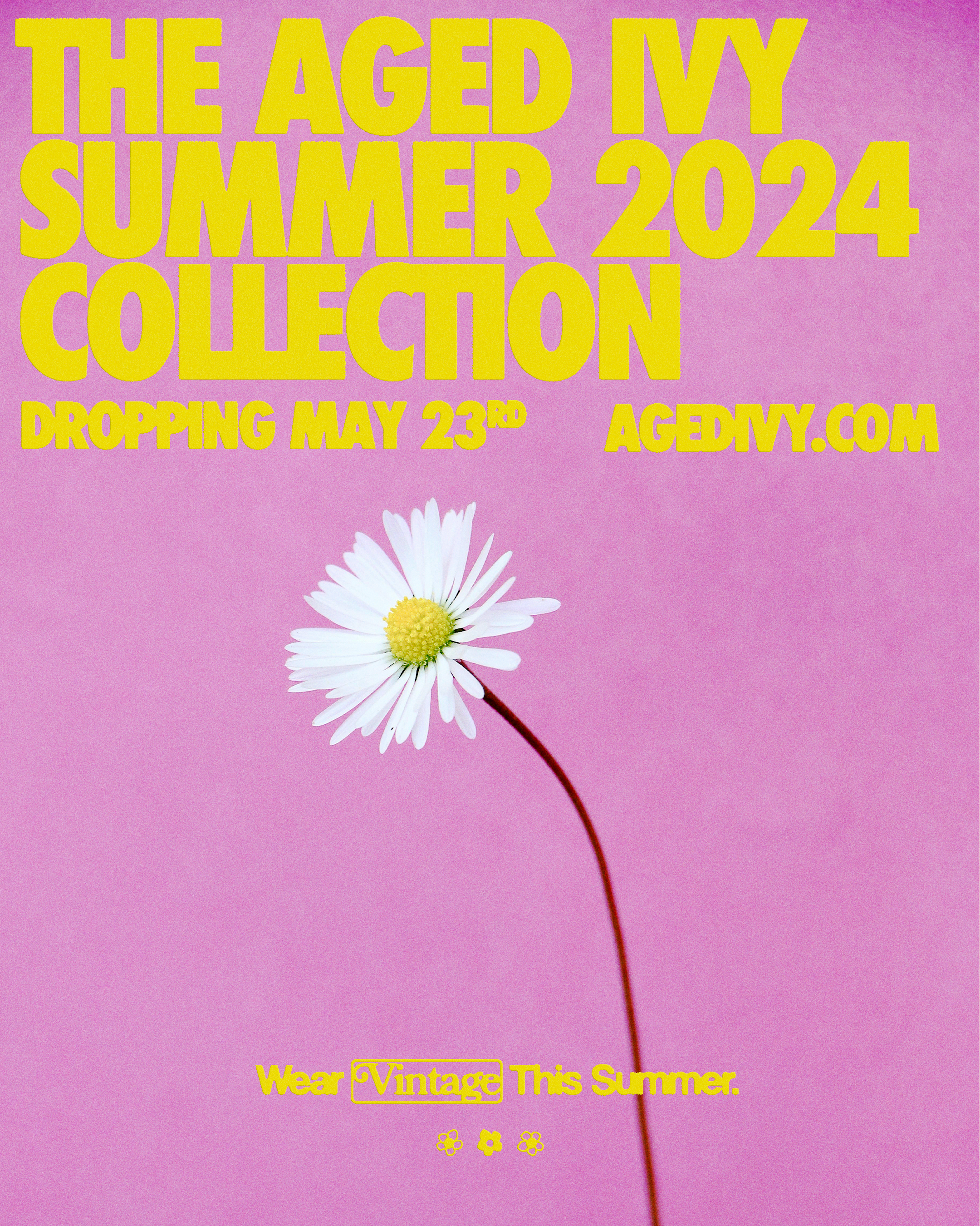 Aged Ivy_Summer Collection_4x5_02.png