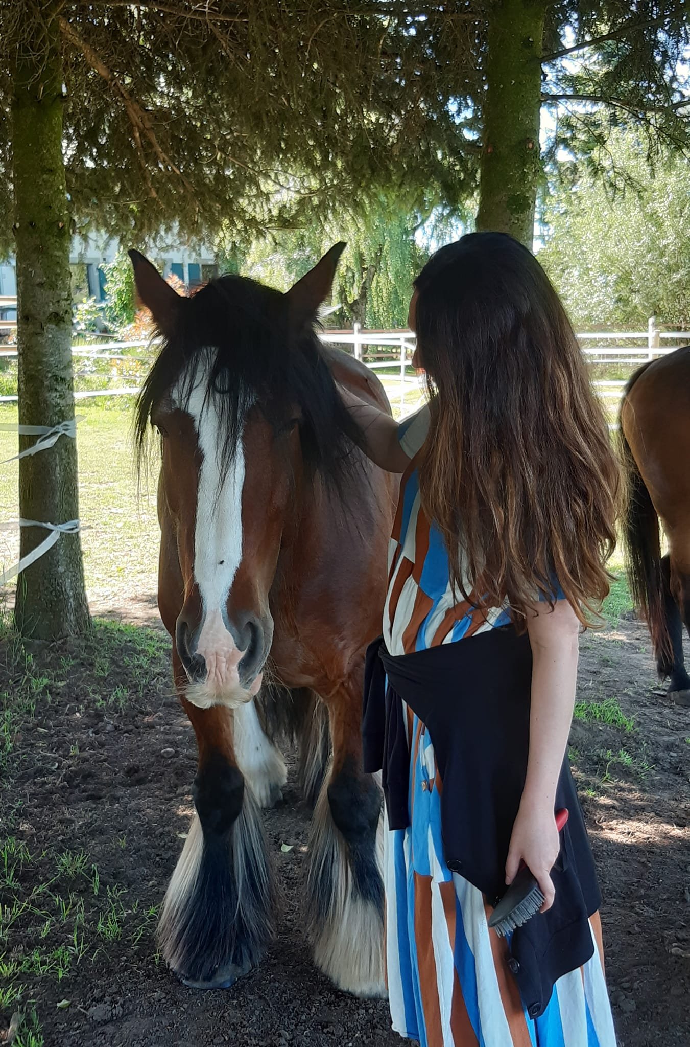 A l'écoute du cheval : La Rencontre