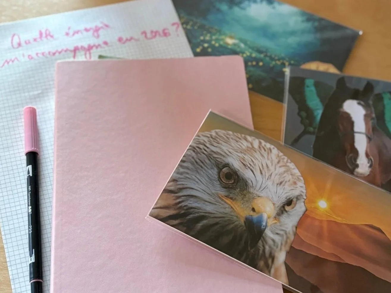 SoulCollage®                       Au commencement il y a l’énergie