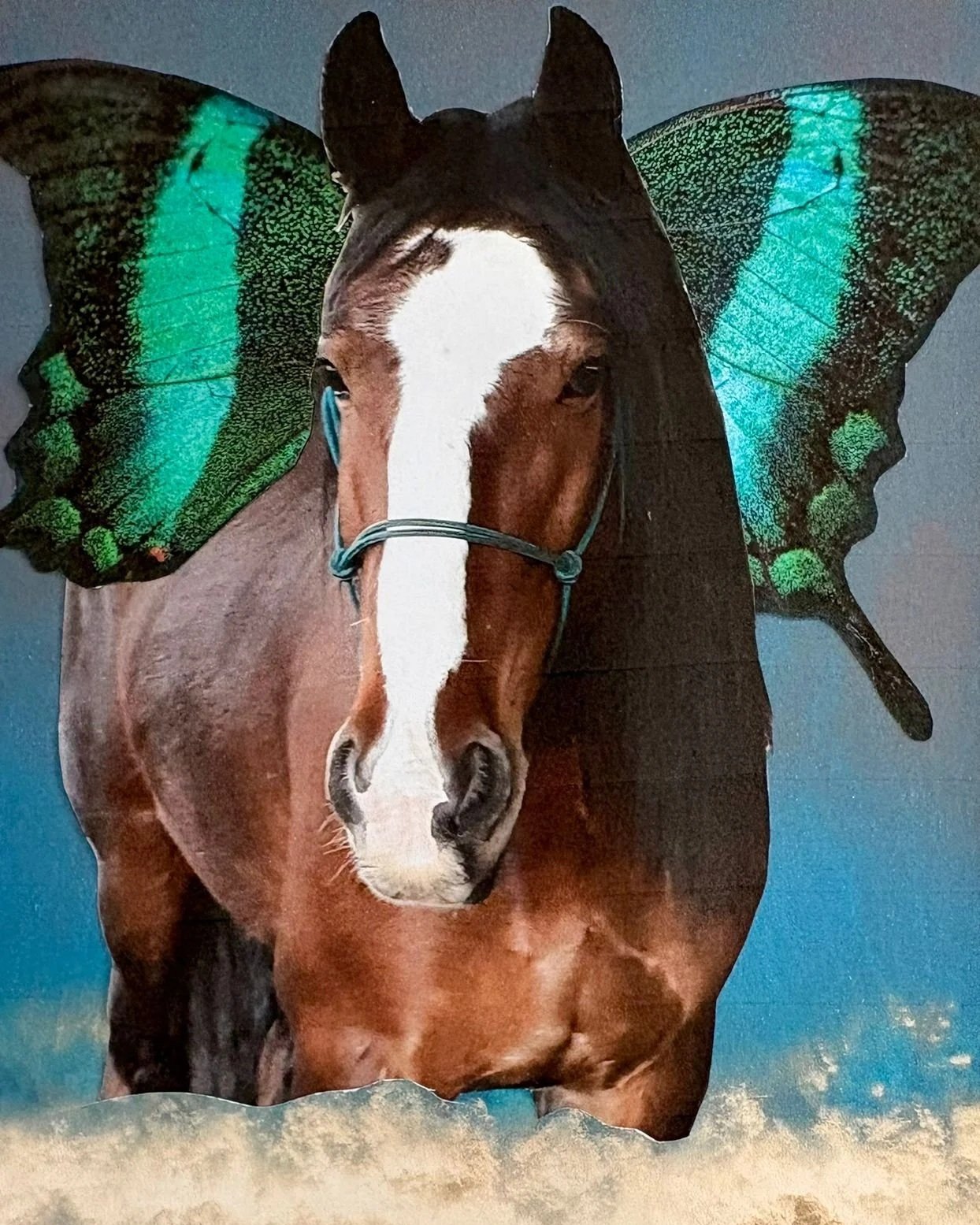 Chevaux & SoulCollage®