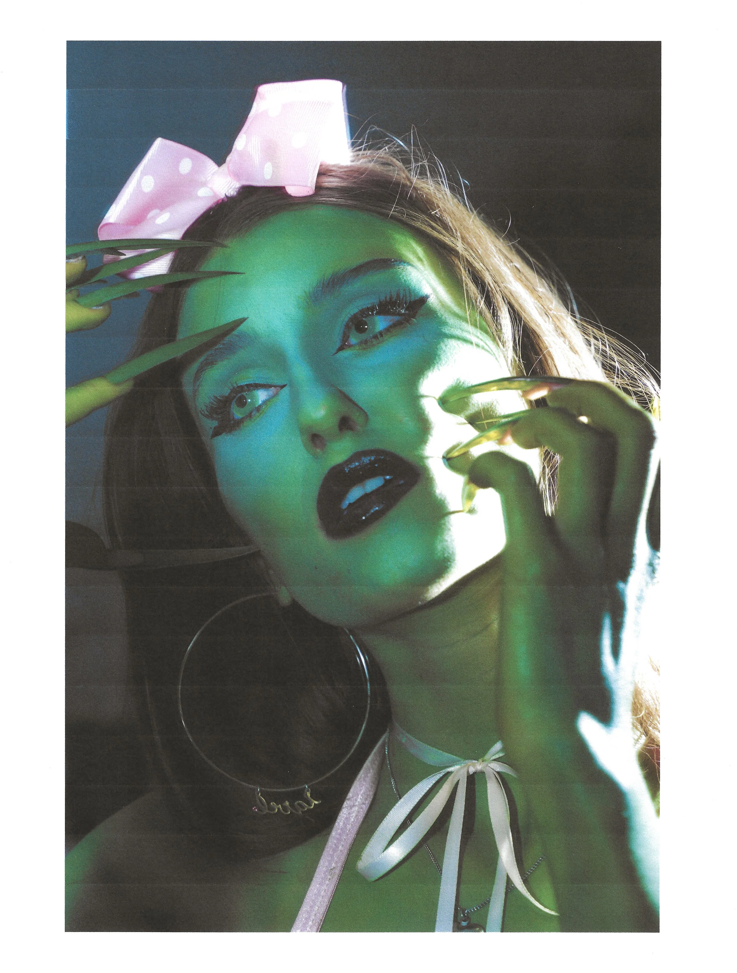 put your paws up.JPEG