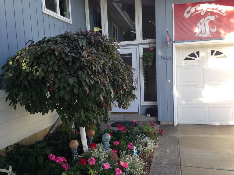 mpb_pullman5door_20210914.jpg