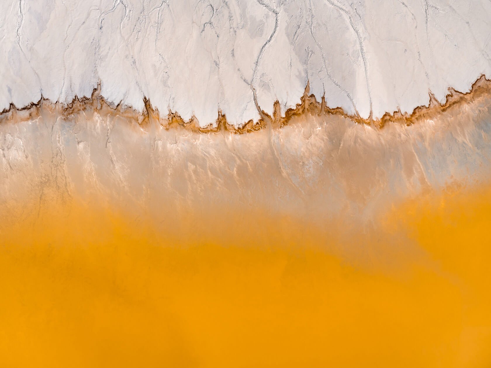 t3_toitoitoicreativestudio_toitoitoiluv x tom hegen_11.jpeg