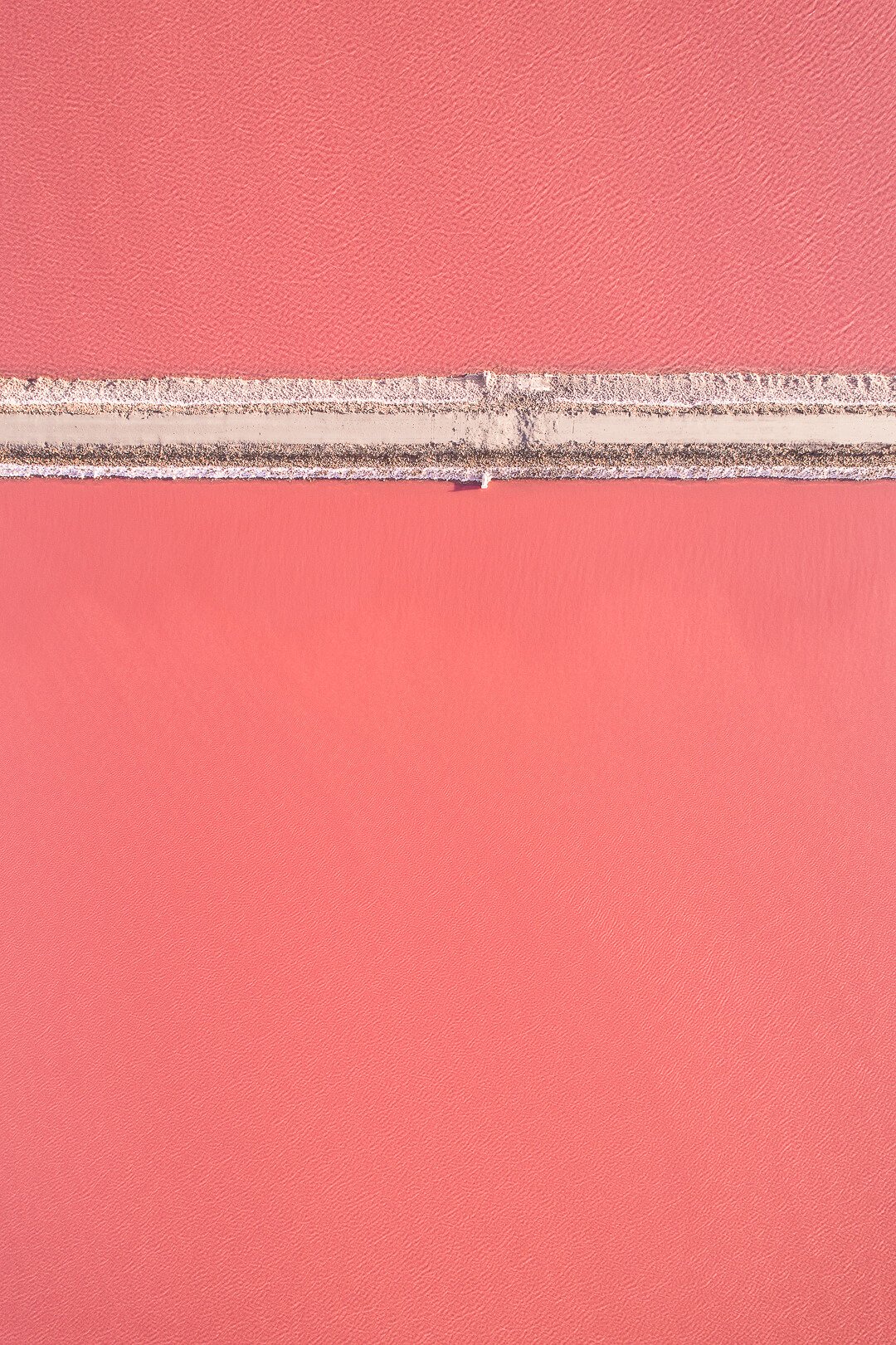 t3_toitoitoicreativestudio_toitoitoiluv x tom hegen_07.jpeg