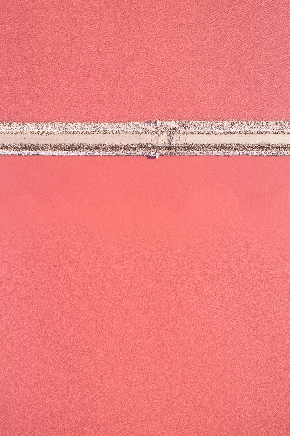 t3_toitoitoicreativestudio_toitoitoiluv x tom hegen_07.jpeg