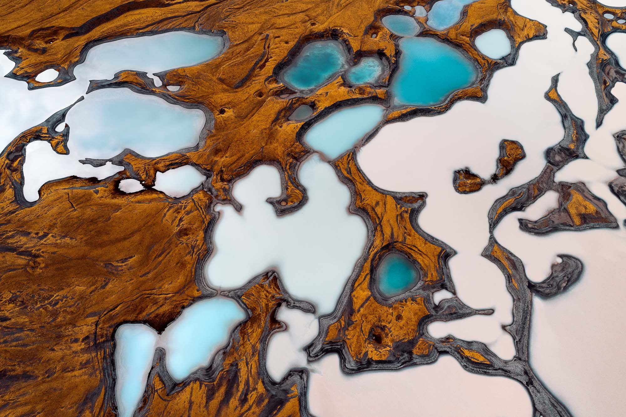 t3_toitoitoicreativestudio_toitoitoiluv x tom hegen_14.jpeg