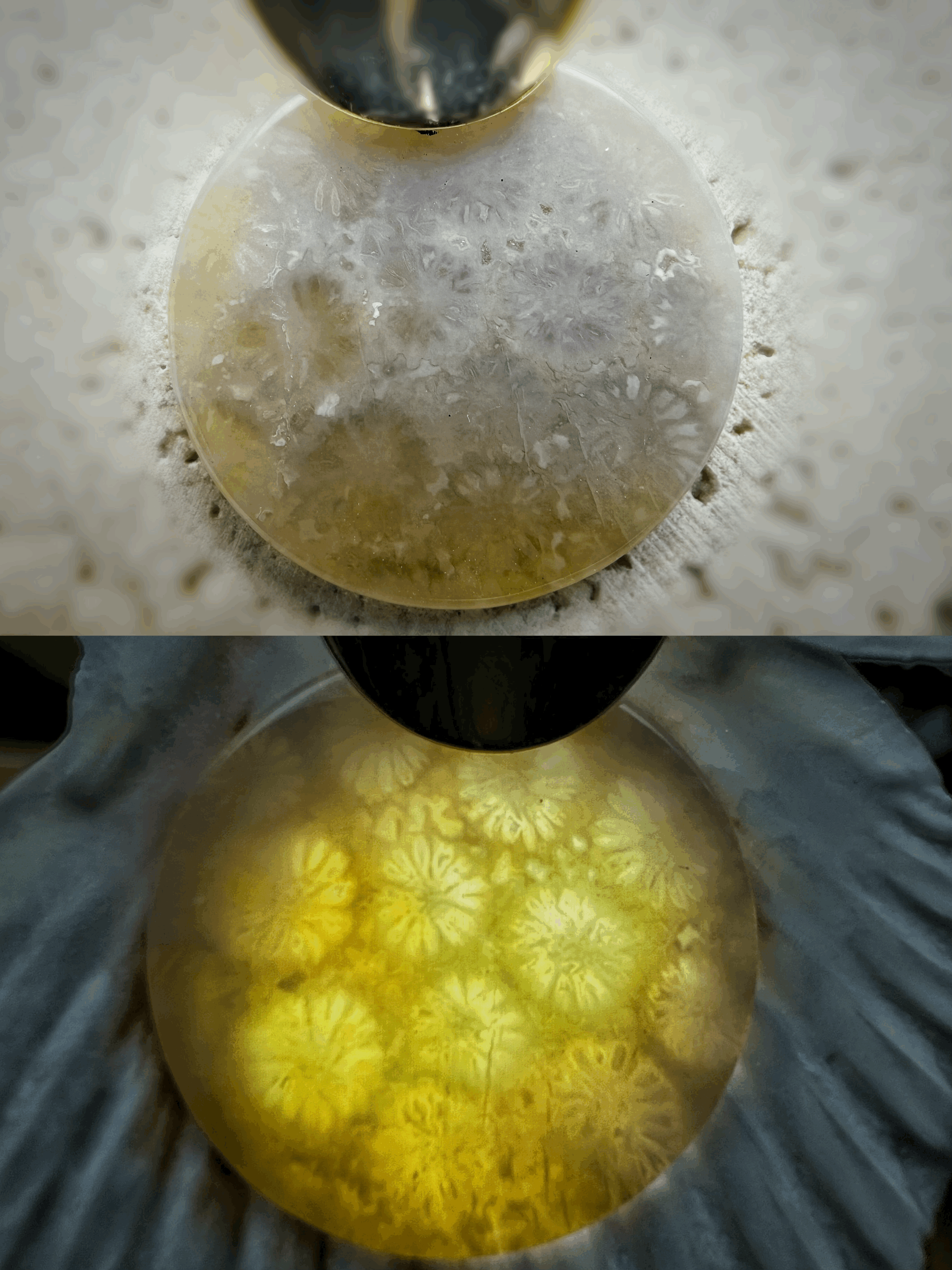 tempImagetUp5Ih.gif
