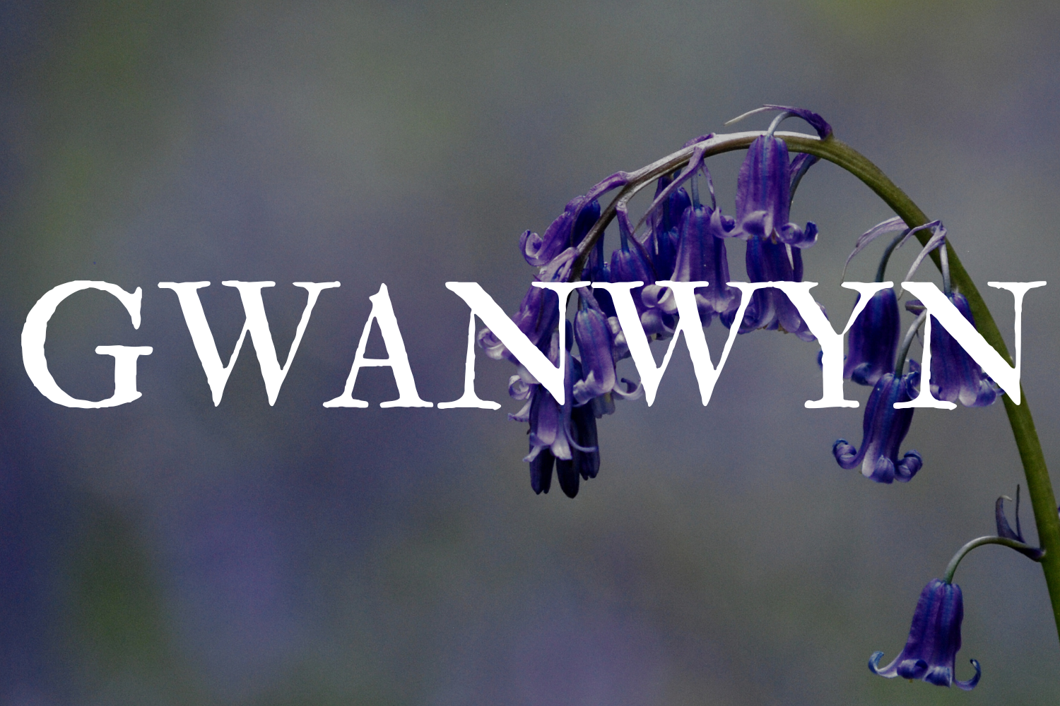 GWANWYN - Community Farm day (April) 