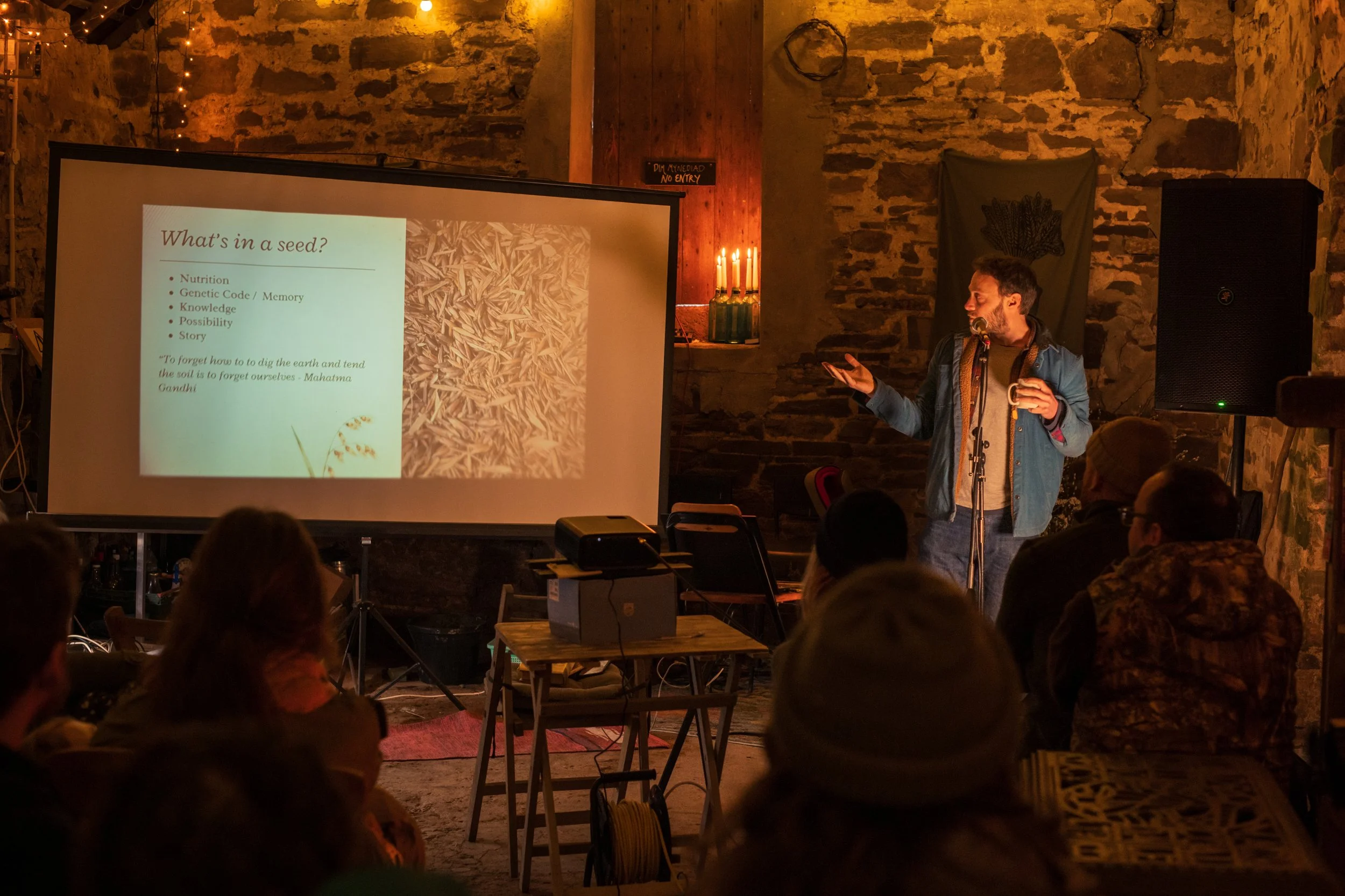 Hadau - sowing the seeds of Spring and celebrating Welsh seed stories 