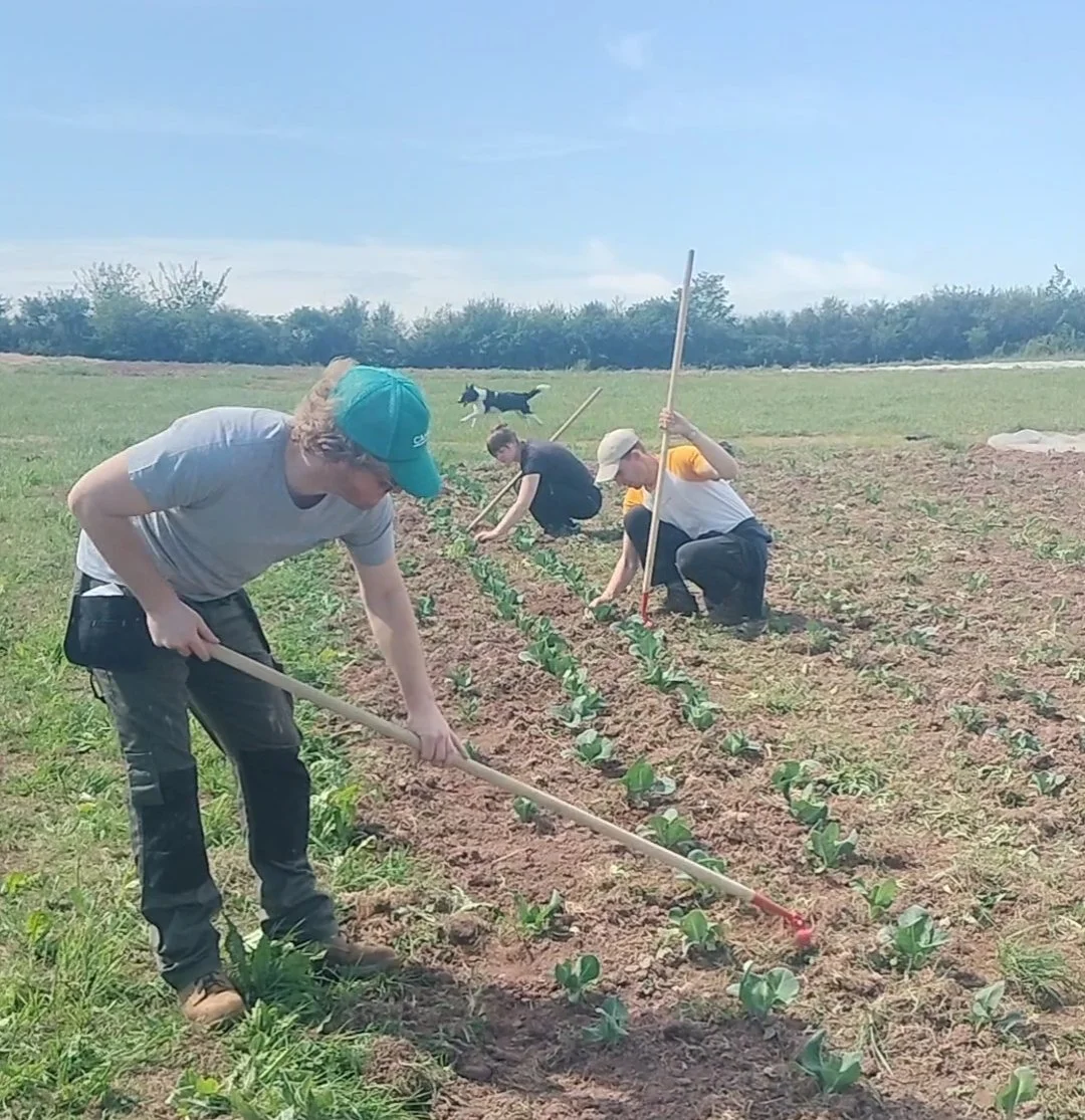 Lle Ni | Our Space - Glasbren’s Volunteer Blog - May 2026