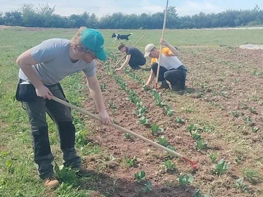 Lle Ni | Our Space - Glasbren’s Volunteer Blog - May 2026
