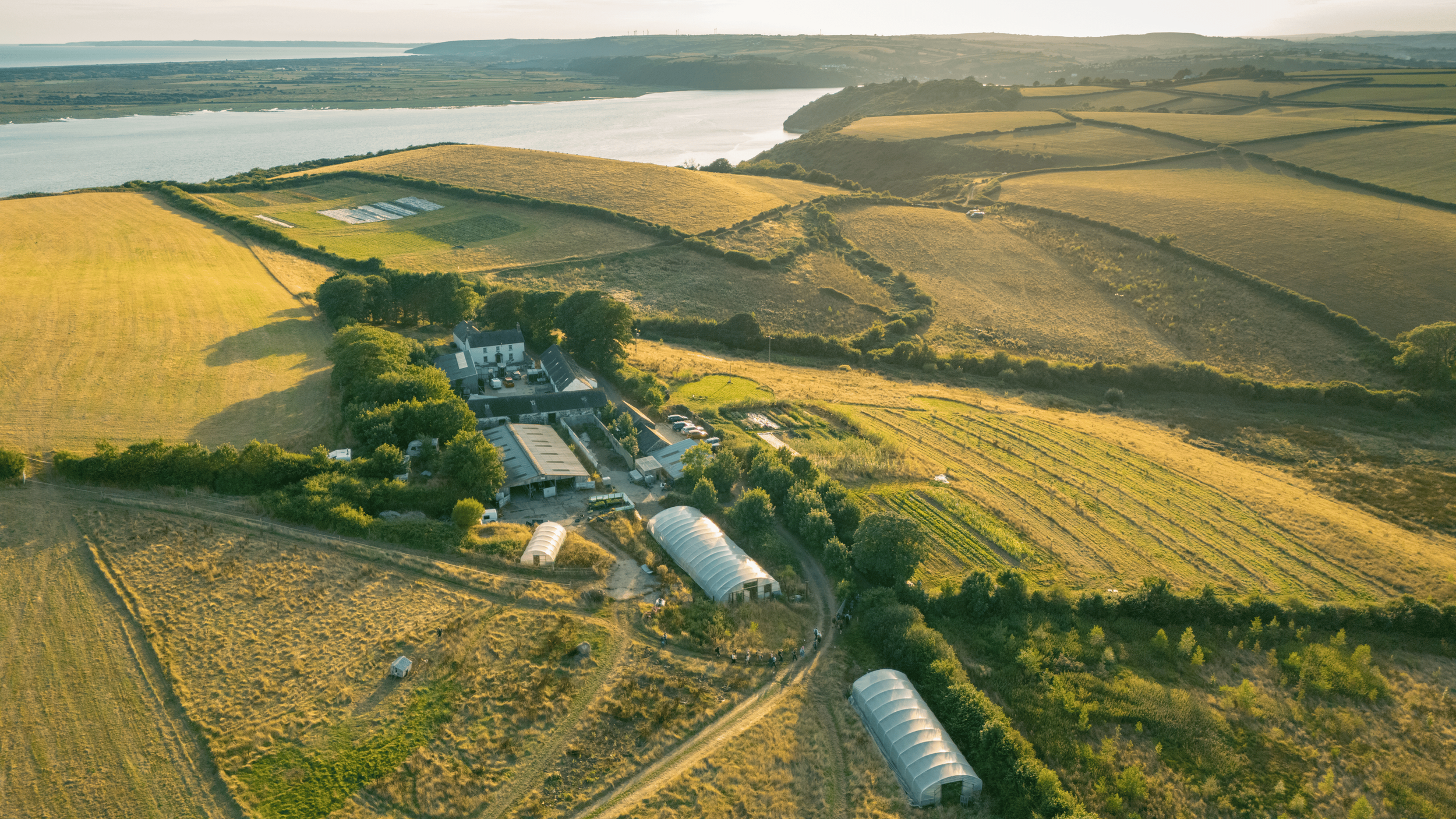 Dathliad Cynhaeaf | Harvest Celebration 2026