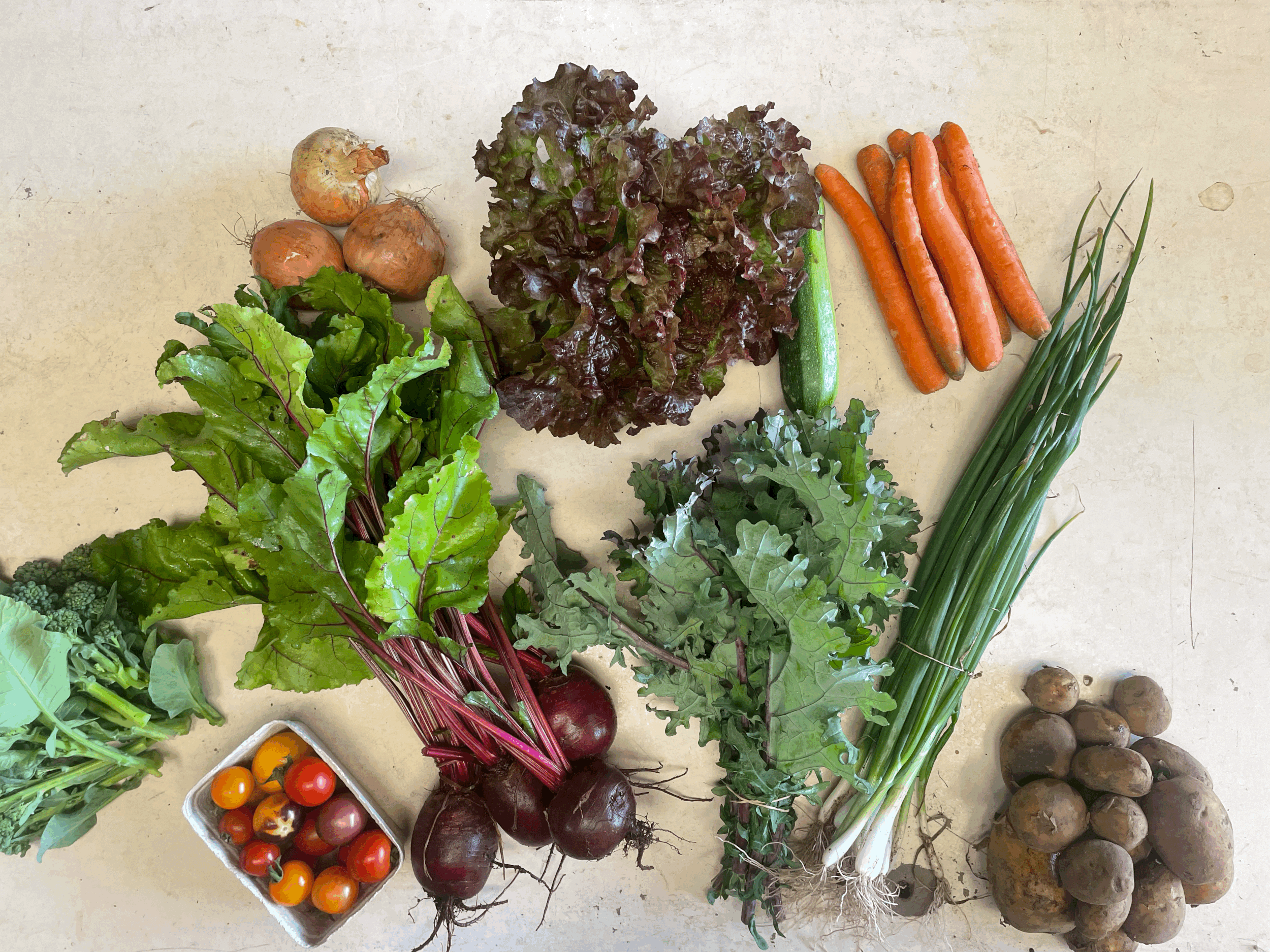 Seasonal Veg Box - MEDIUM