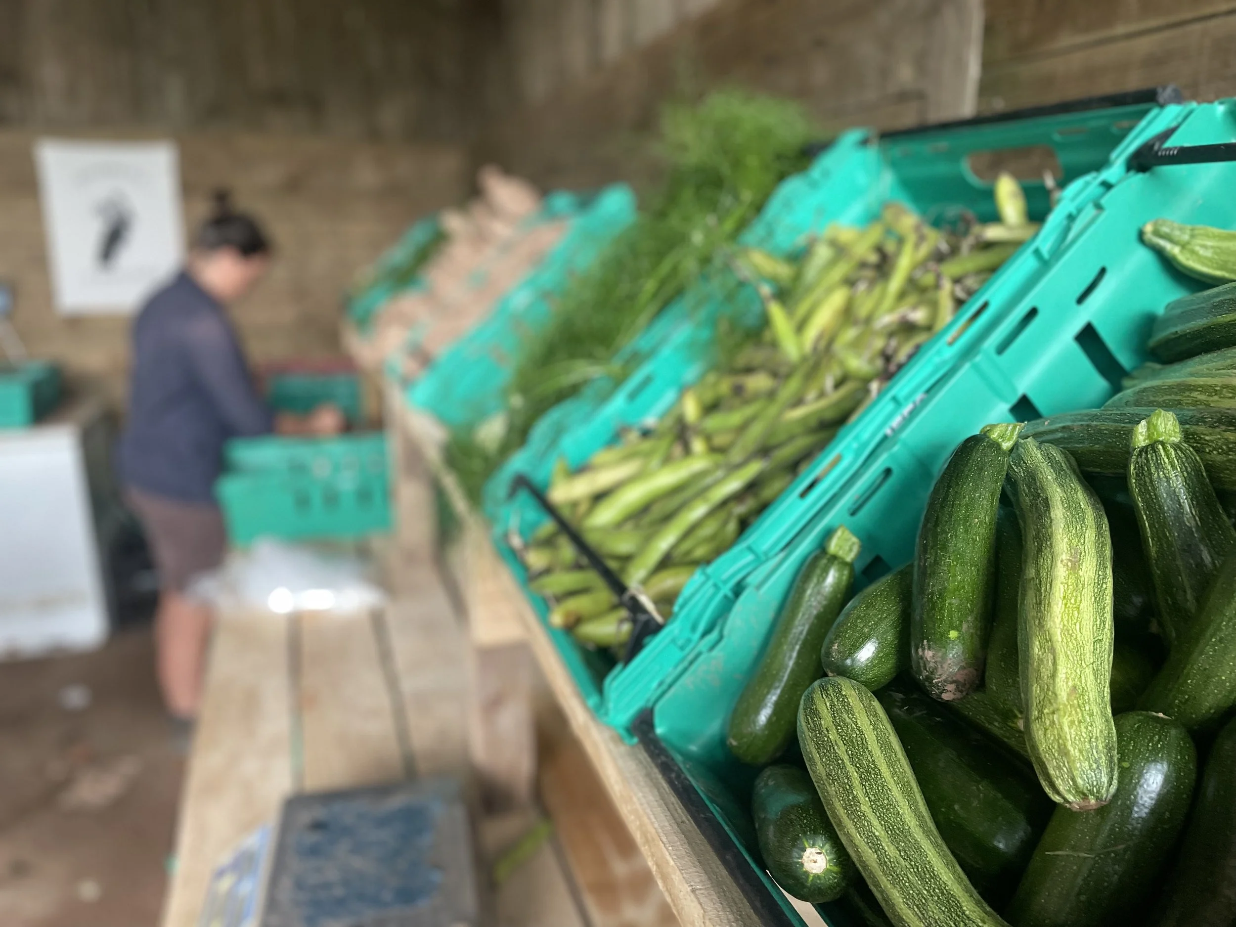 Glasbren Harvest Celebration