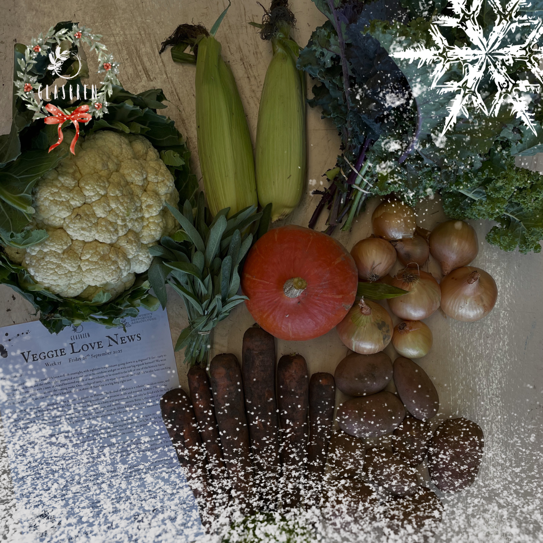 Untitled design-14.png