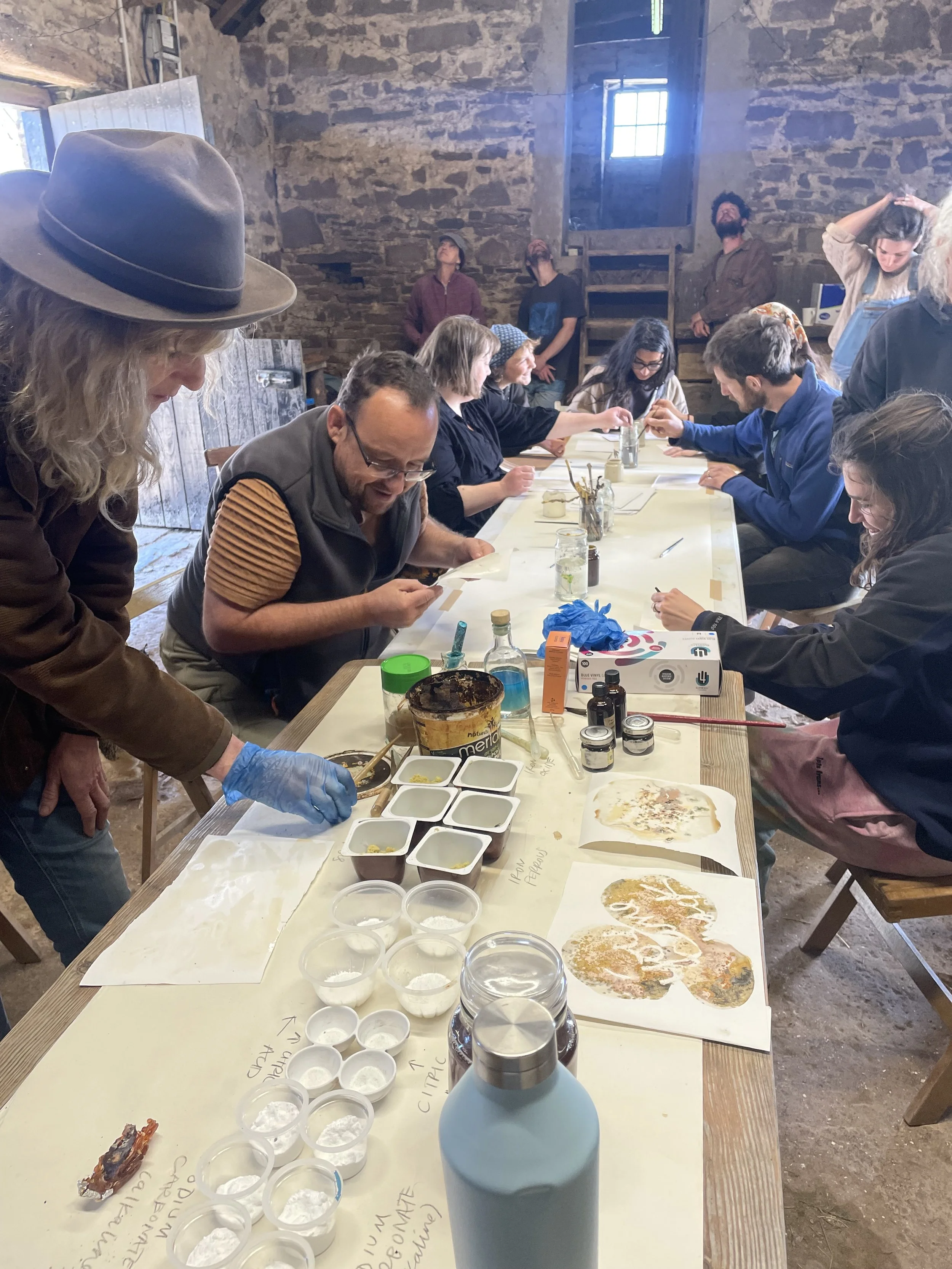 Community Farm Day - November 2025