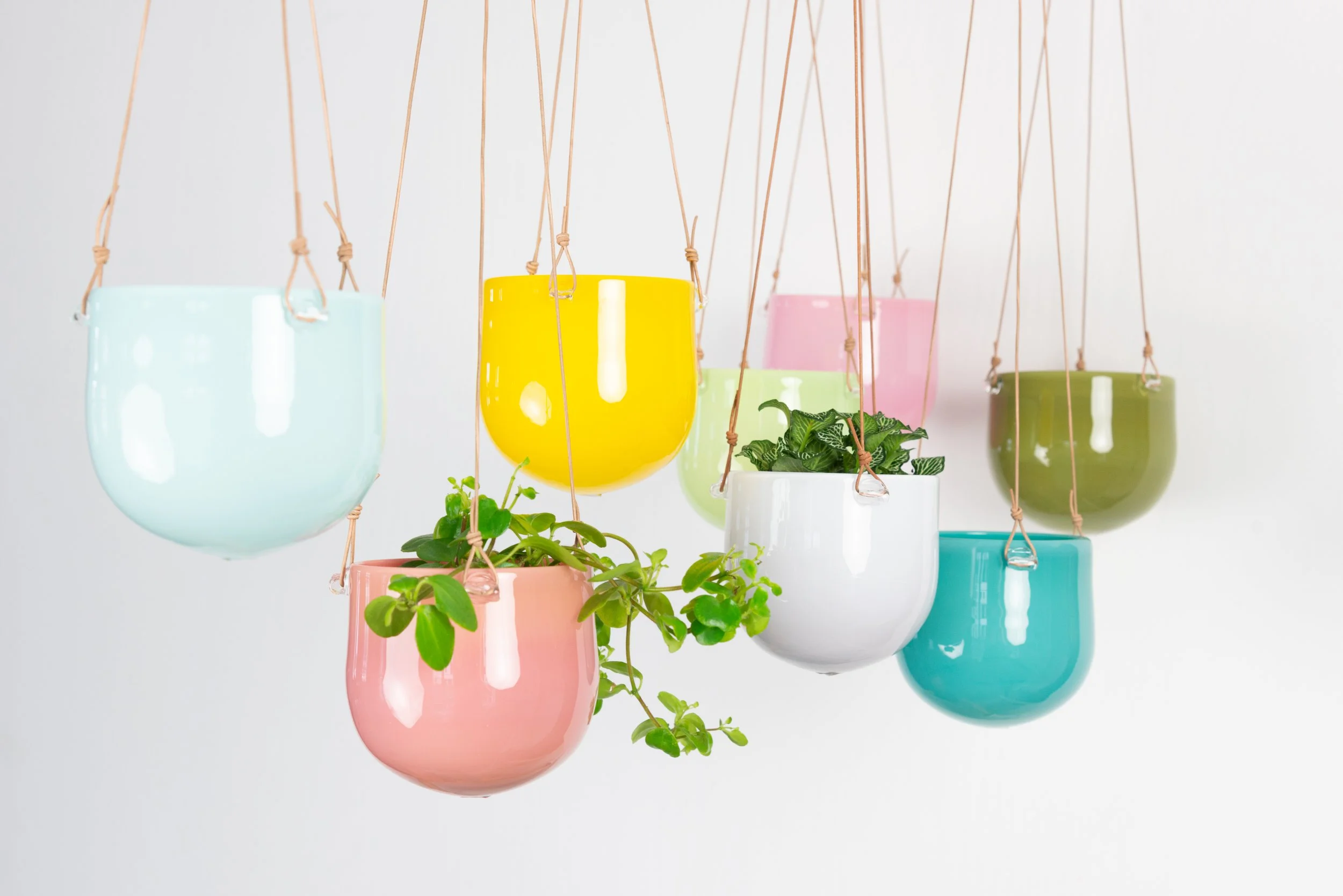 Hanging Garden