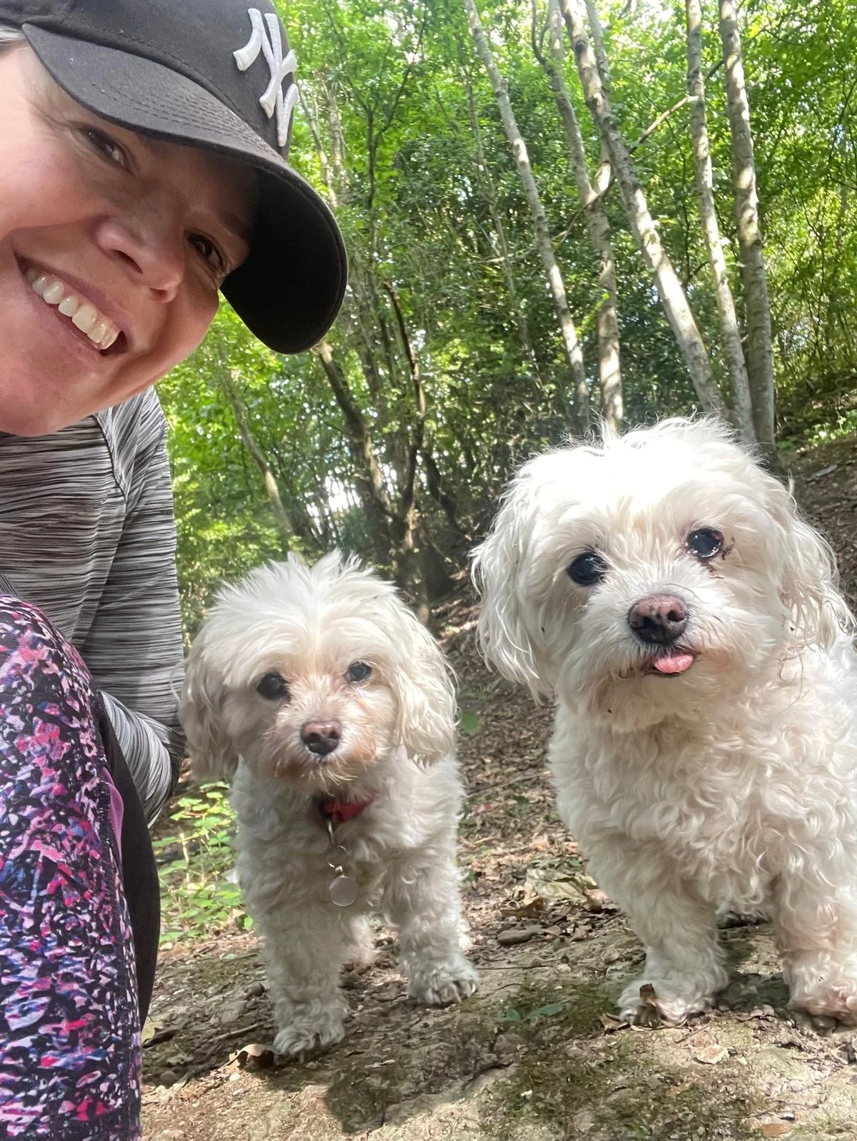 Frankie and Benny.jpg