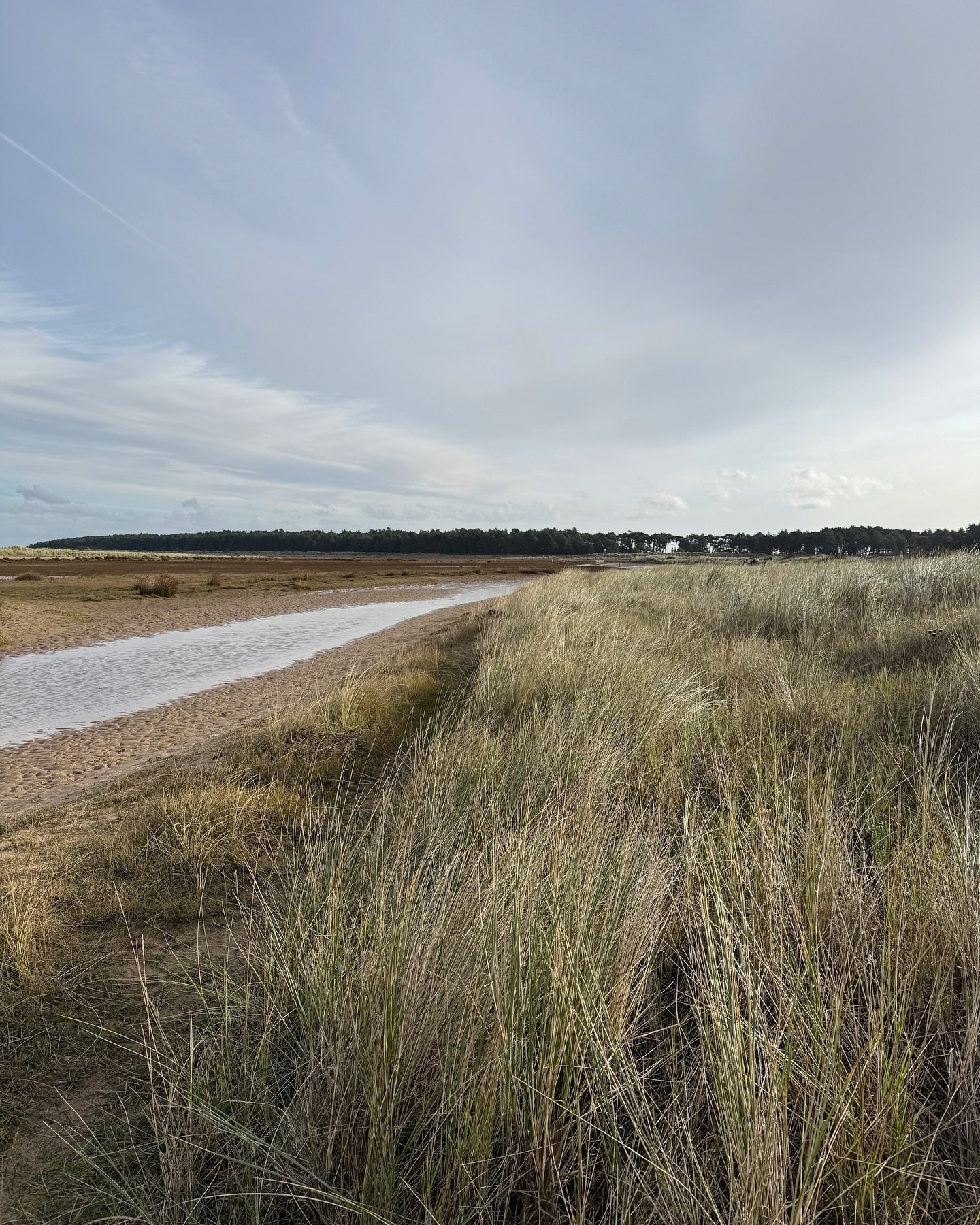 Today we made like Gwyneth Paltrow at the end of Shakespeare in Love (but not via a shipwreck) and went to Holkham Beach - one of the most beautiful beaches in north Norfolk (or probably anywhere).

There was a lot of jumping over little creeks and t