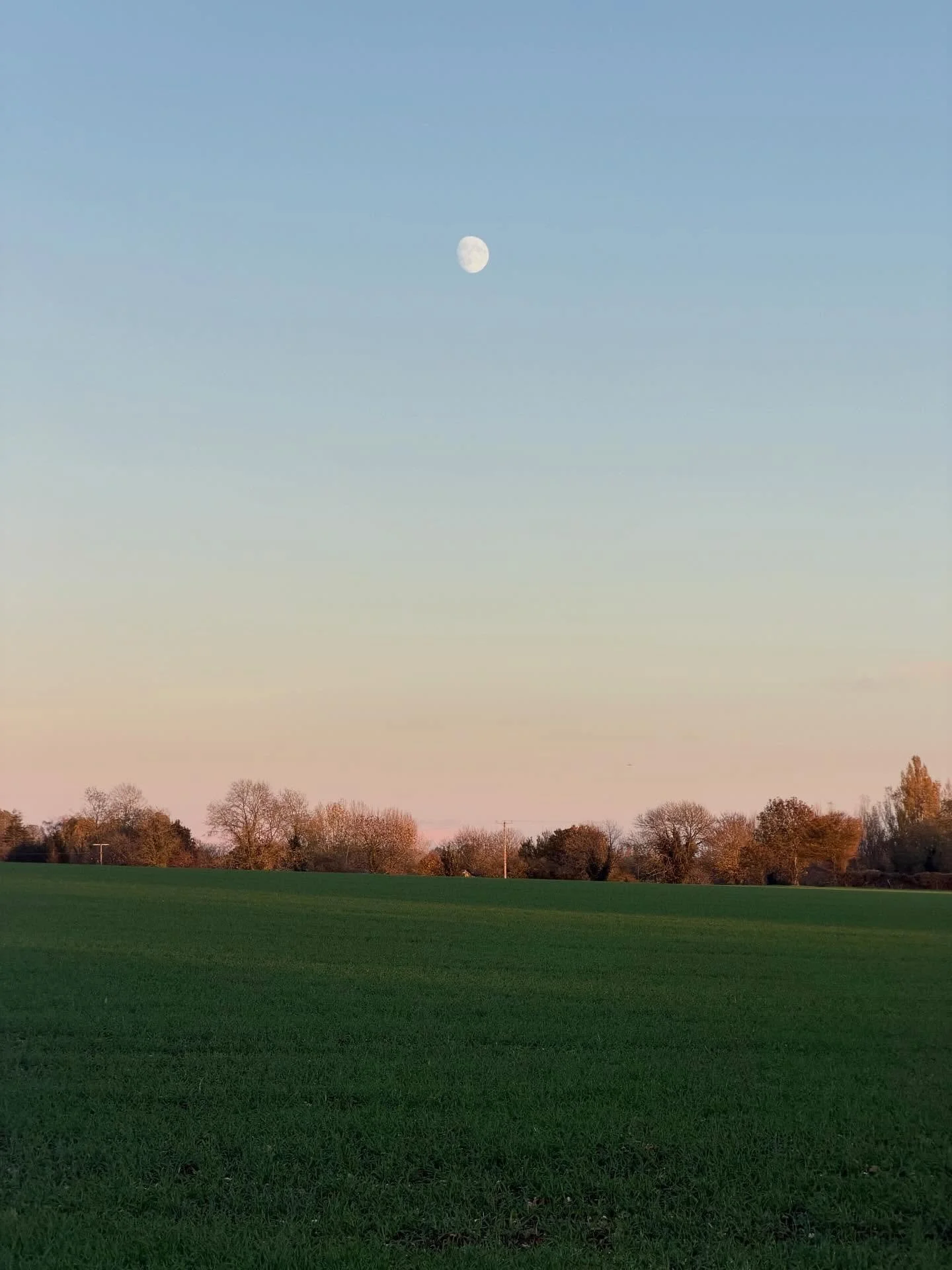 We went out for a lovely lunch with friends and the big, shiny moon watched us all the way home. 🌓

#moon #norfolkcountryside #authorsofinstagram #romanceauthorsofinstagram